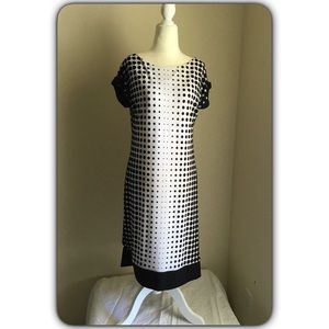 Chico’s Polka Dot Dress (6)
